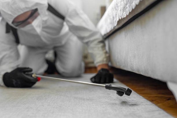 Professional Termite Control technician working in Madera Ranchos, CA