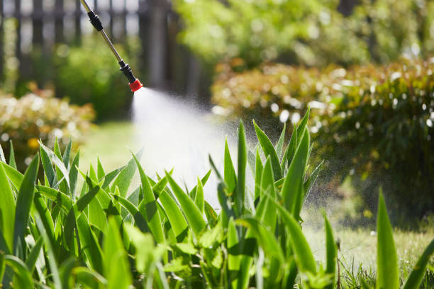 24/7 Emergency Termite Control experts in Madera Ranchos, CA