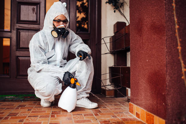 Reliable Termite Control contractor in Madera Ranchos, CA by Nex Pest Control